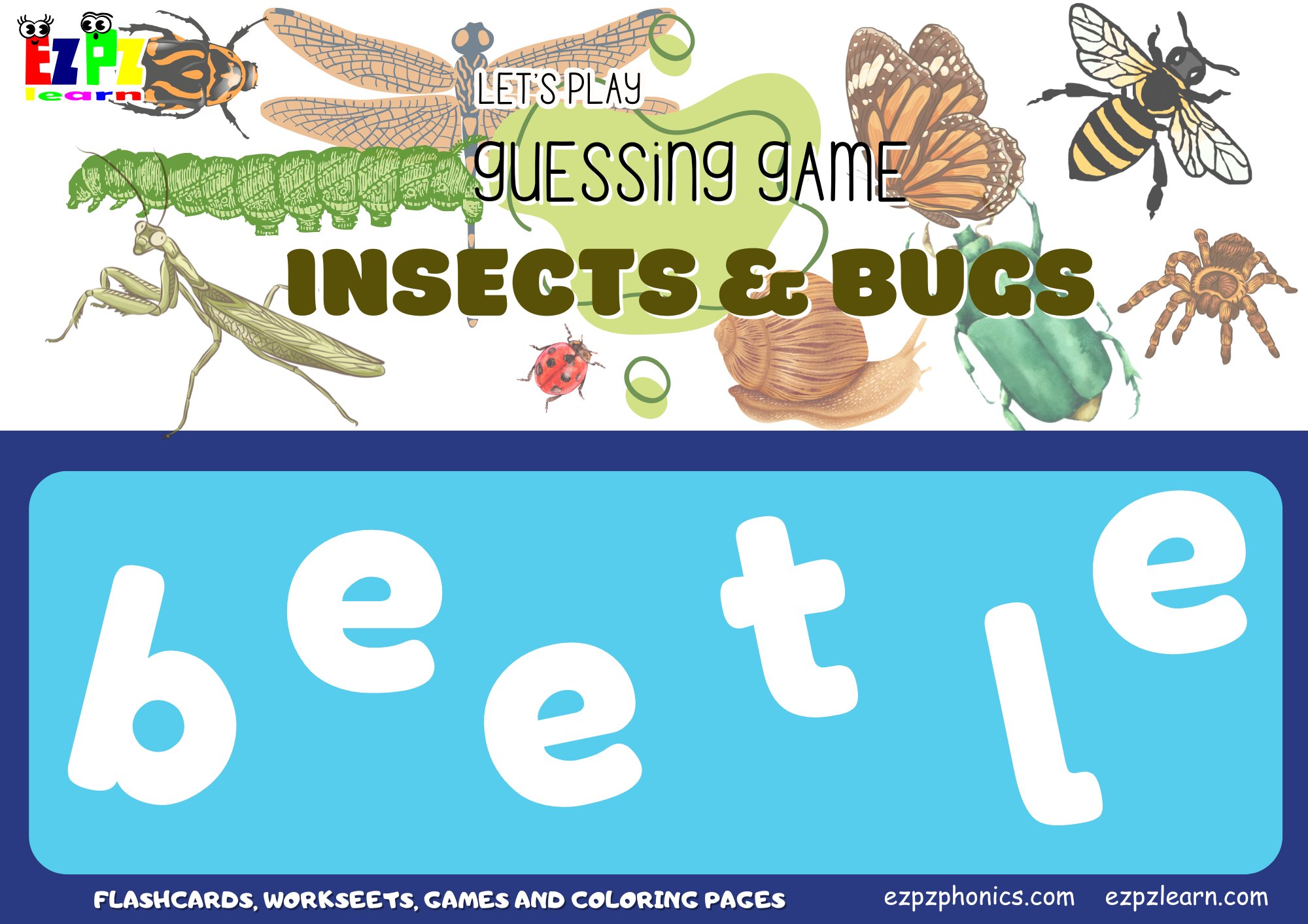 Insects and Bugs Vocabulary Word Scramble. Spelling game for kids and English language learners.
